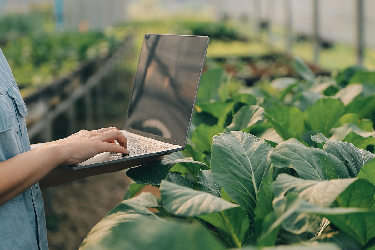 Boosting Operational Efficiency with a Remote Plant Monitoring